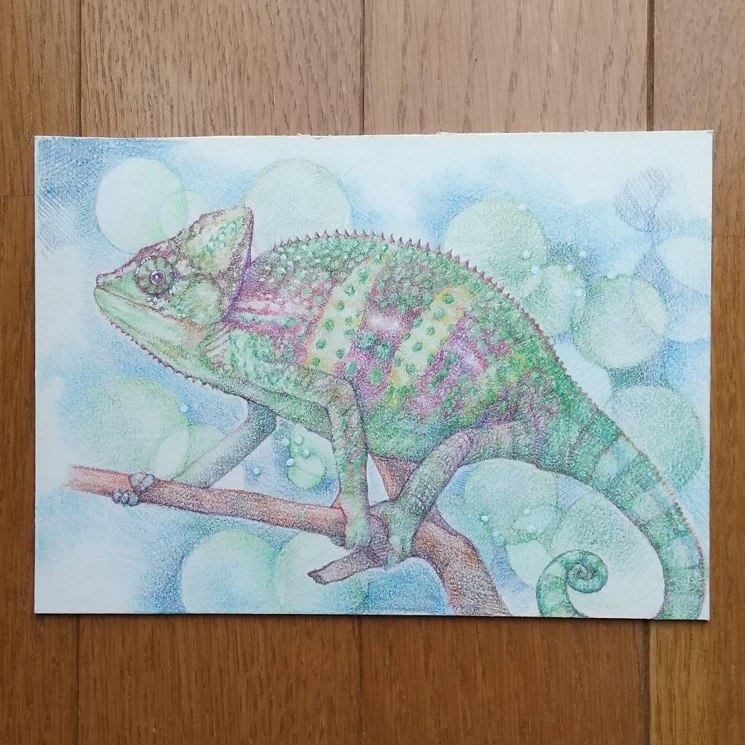 色鉛筆画 d61d7732b0c7358096e7672c3e0789