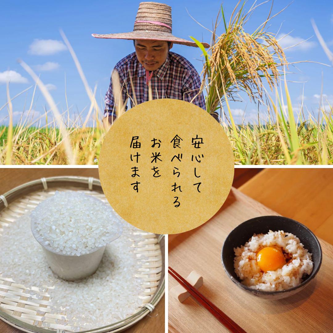 令和6年　お米　さがびより　30キロ　14年連続特A受賞　減農薬　農家のお米