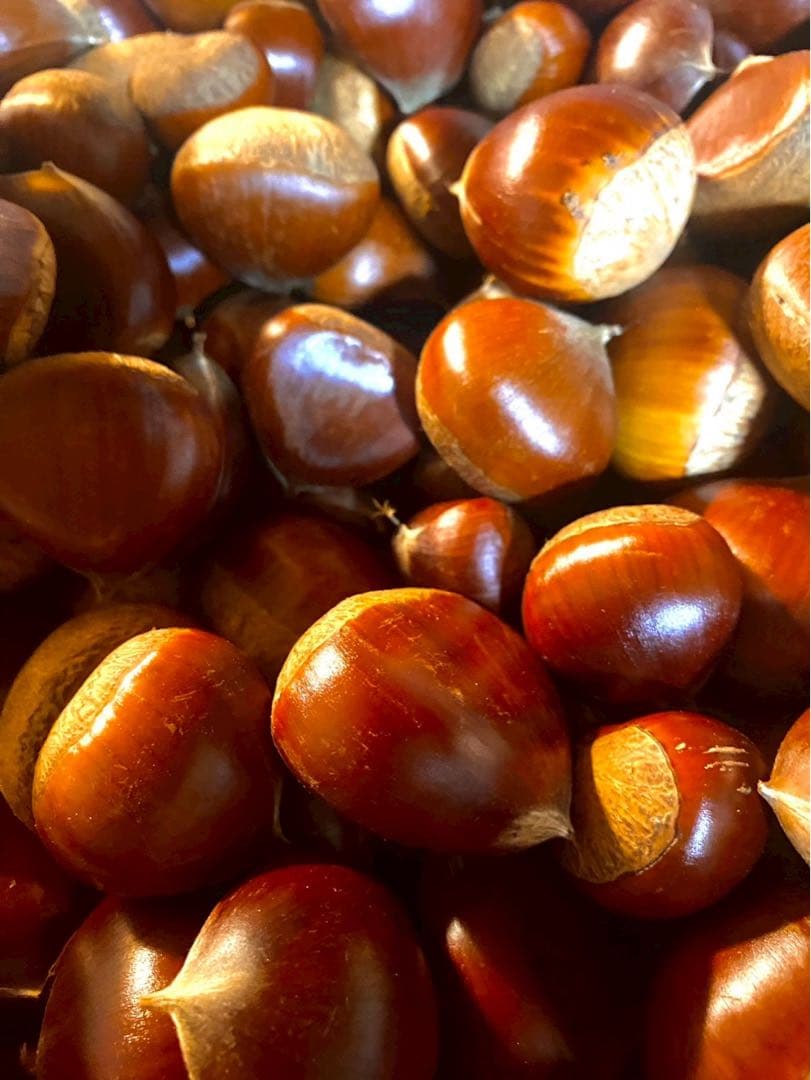 お得! 冷凍むき栗 3キロ 10袋分 お得! 冷凍むき栗 3キロ 10袋分