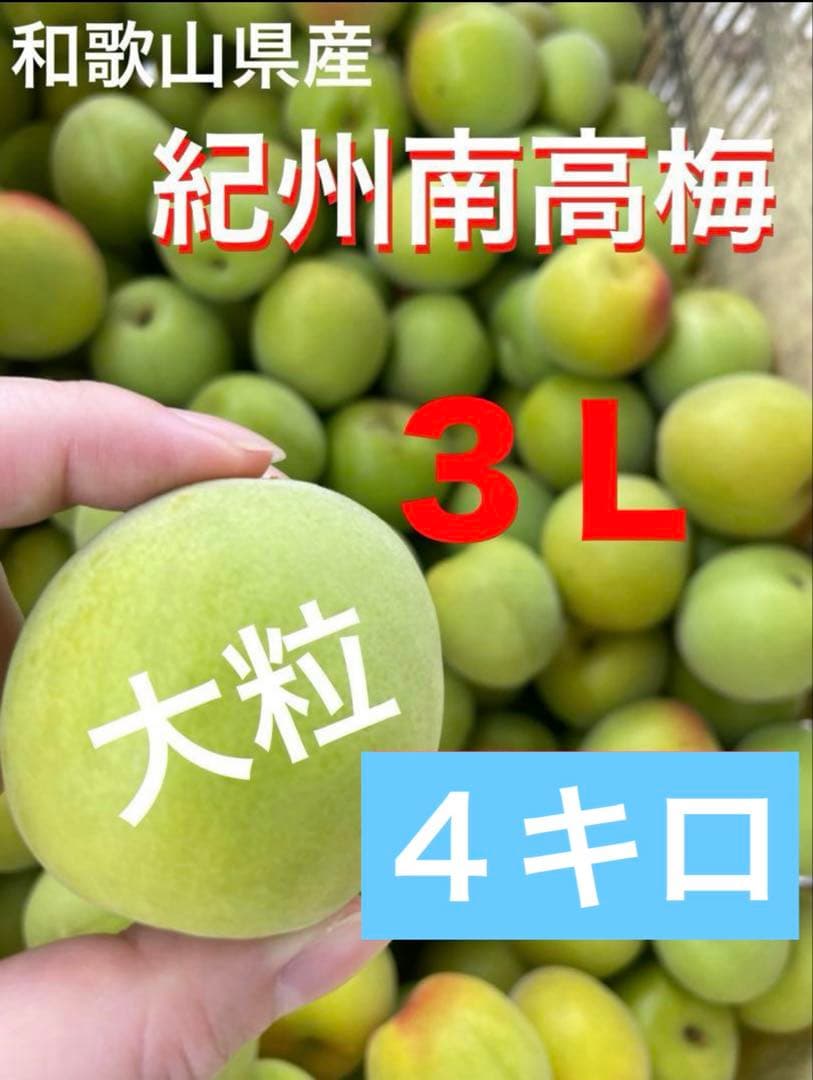 紀州南高梅 3L 4キロ