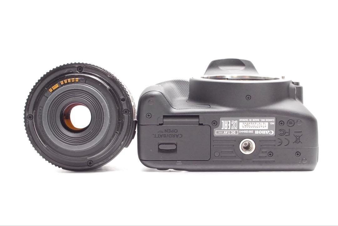 ✨初心者モデル✨ボディ新品級✨ ✨CANON KISS X7✨美品✨