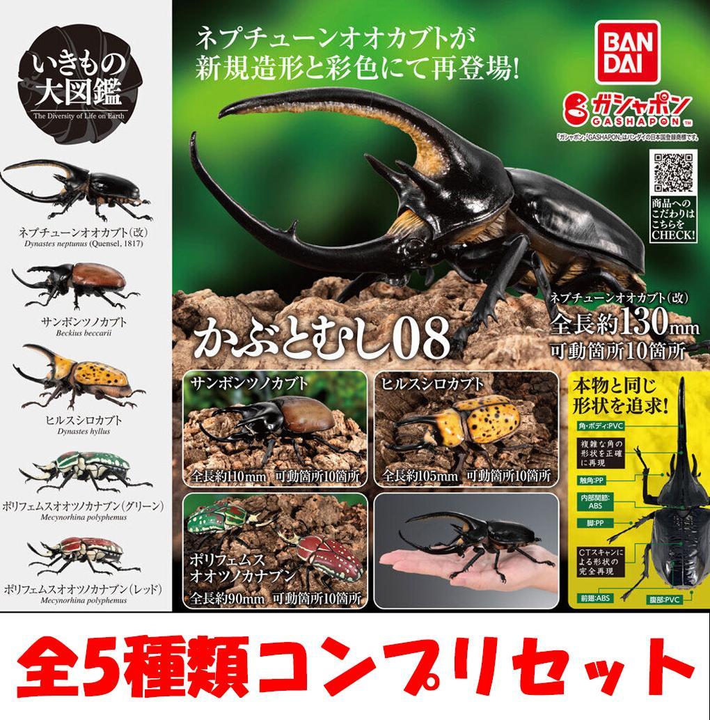 【特典のみ】ペルソナ4 1巻 文教堂限定 非売品 イラストカード 曽我部修司 特典のみ】ペルソナ4 1巻 文教堂限定 非売品 イラストカード