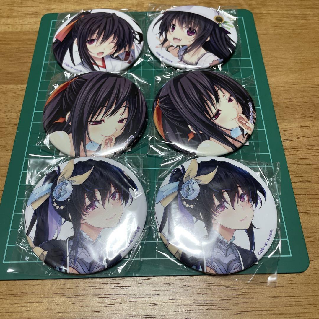 ハイスクールD×D HERO缶バッチ6点セット キャラクターグッズ