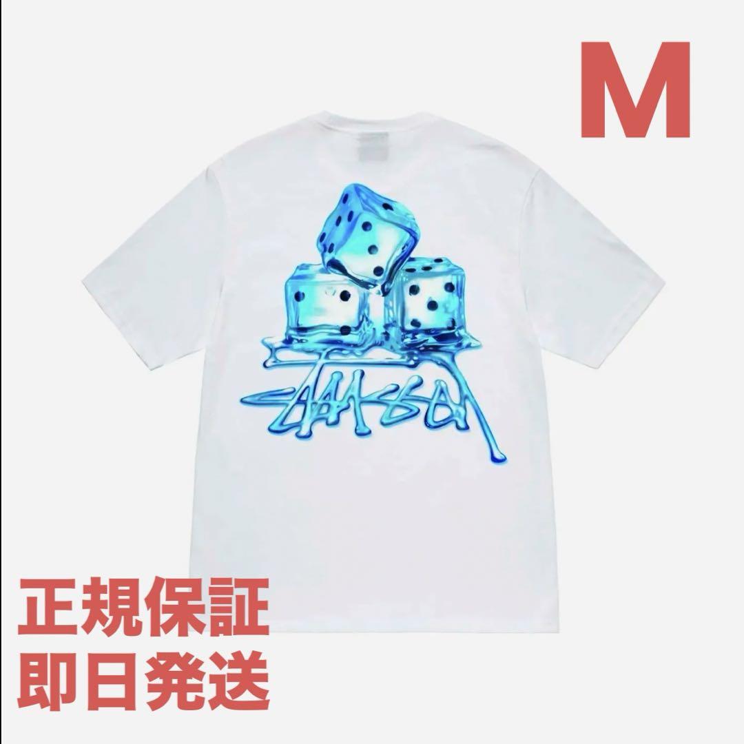 ❗️期間限定SALE❗️ステューシー メルツ Tシャツ ホワイトM