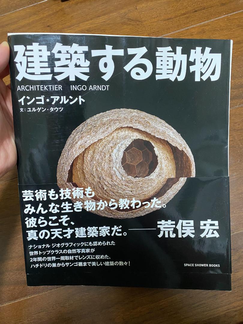 建築する動物 インゴ・アレント