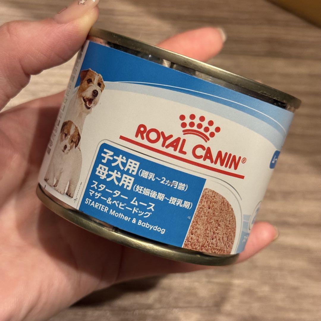 ROYAL CANIN スタートマザー＆ベビードッグ 12缶セット