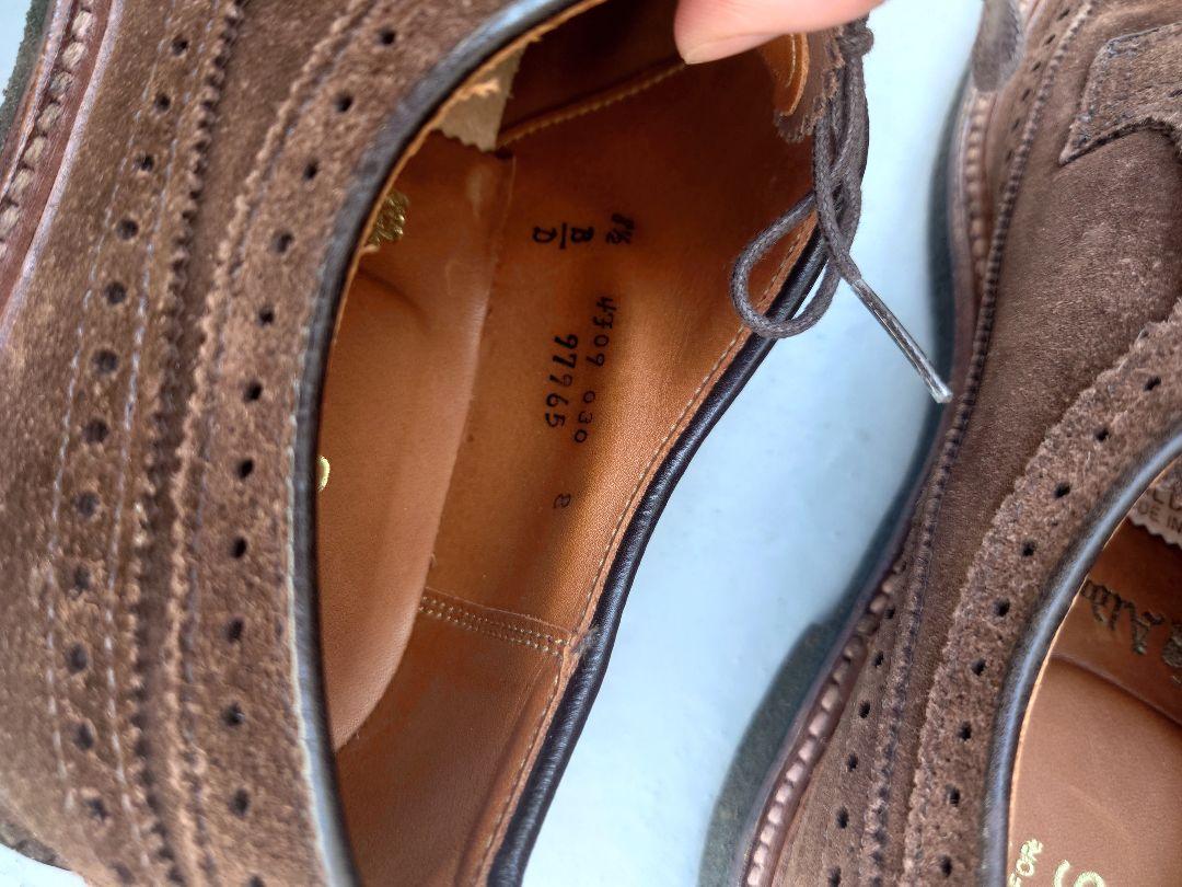 Alden #97965 SHIPS別注 ブラウンスエードウィングチップシューズ