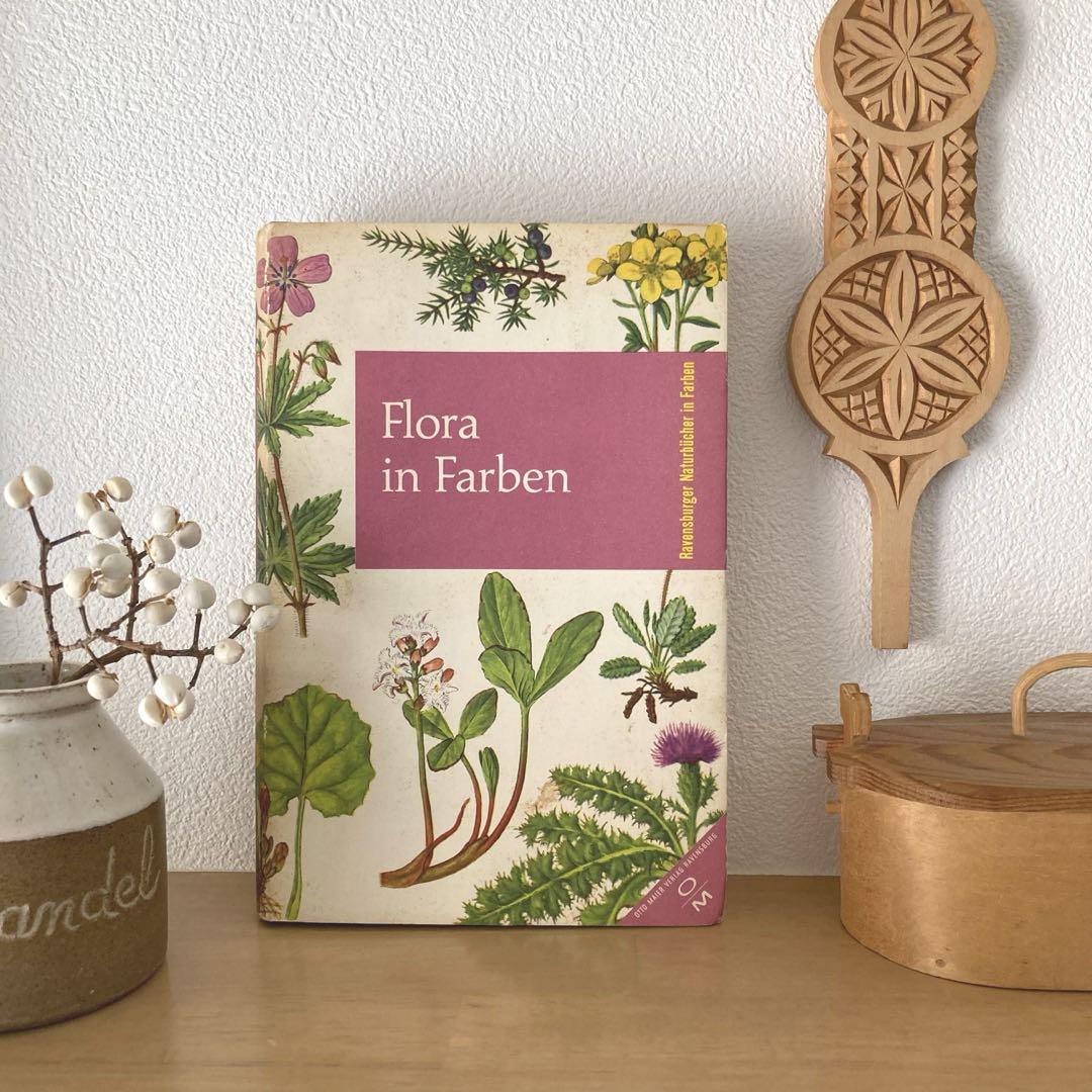 てん2点☆　洋書　古書　植物図鑑 79③ビンテージ植物絵 植物図鑑 洋書古書 ボタンニカルアート
