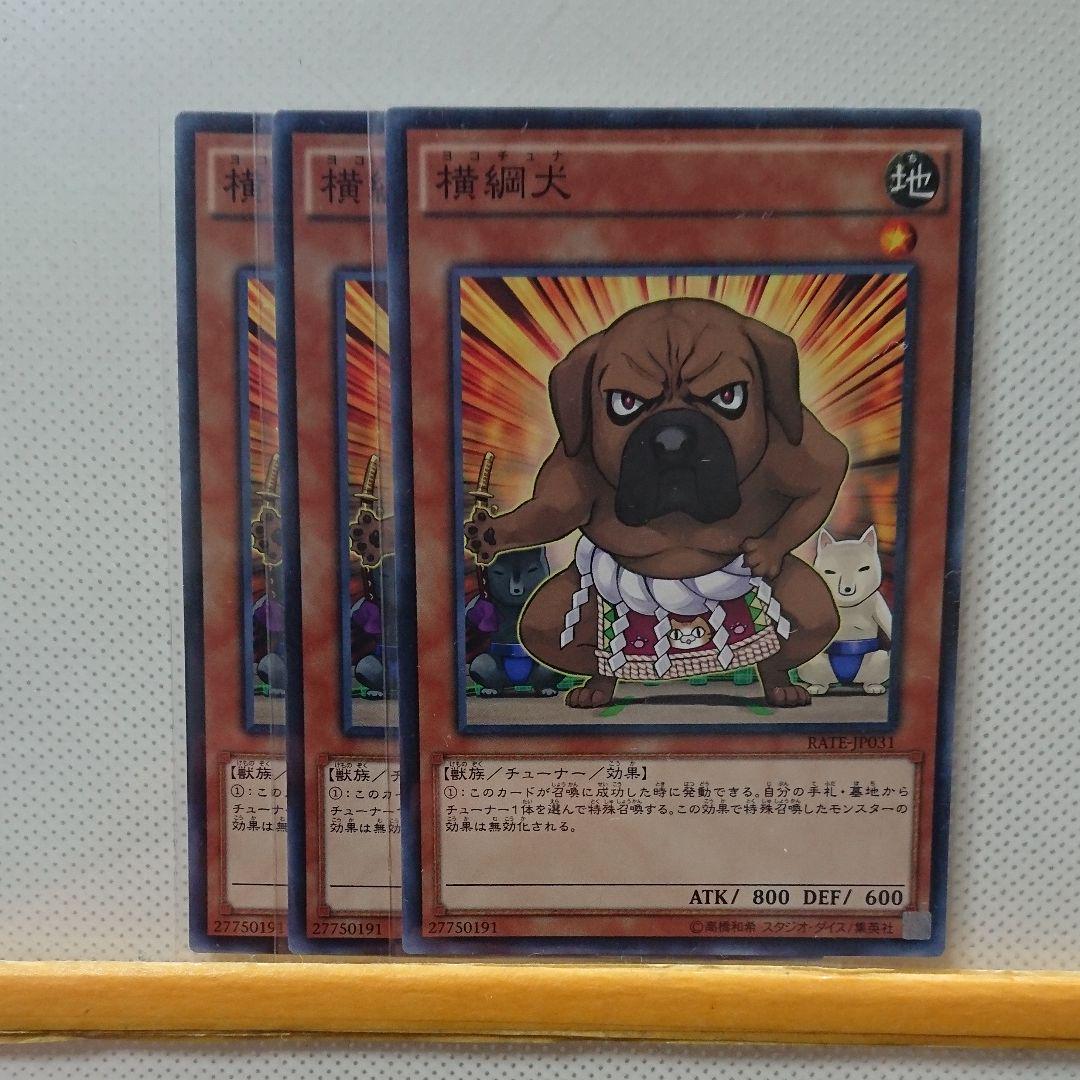 遊戯王 横綱犬 3枚セット メルカリ