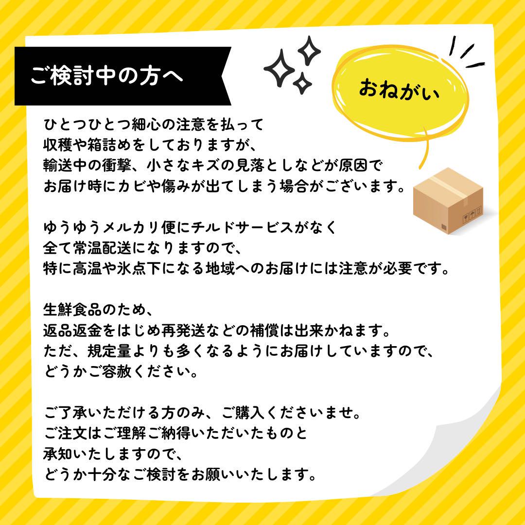 農薬不使用のレモン 10kg箱（アレンユーレカ）【愛媛の農家直送】は0417