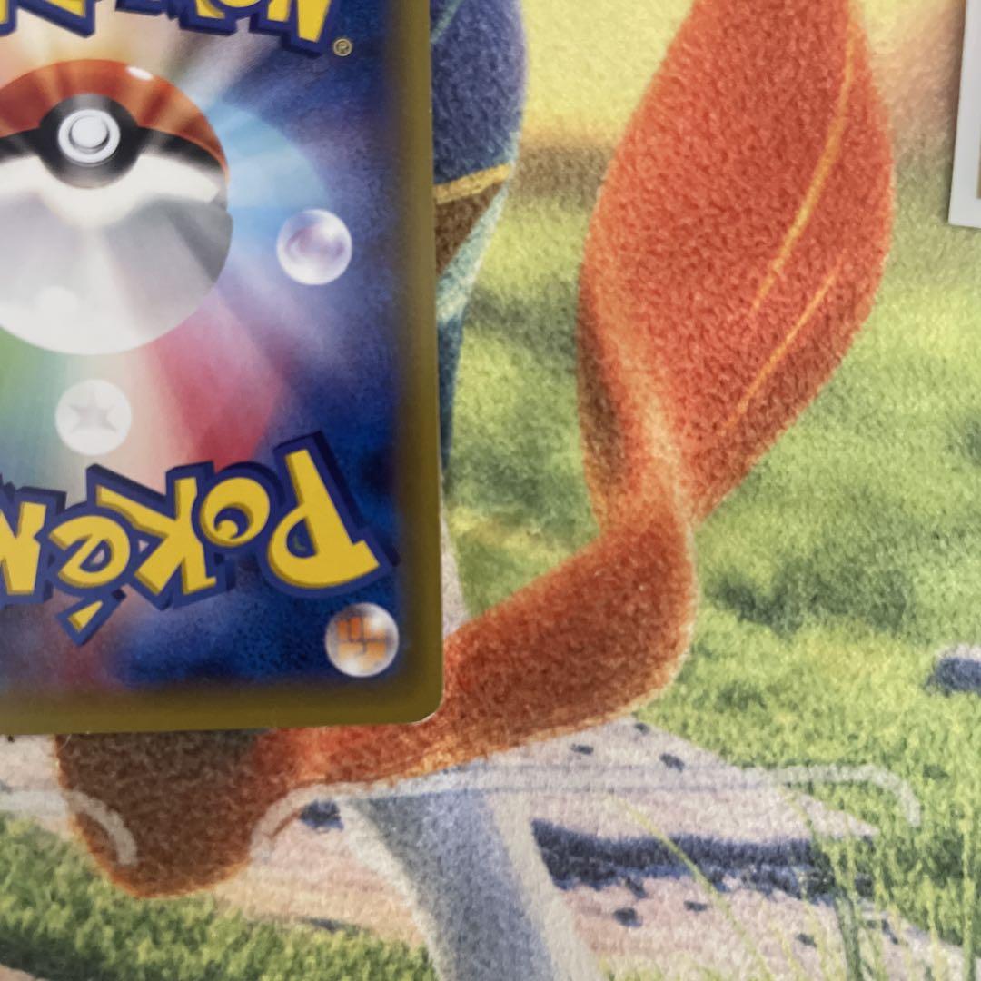 ピカチュウ　ポケモンべんとう いっしょにたべよ　プロモ　ポケモンカード