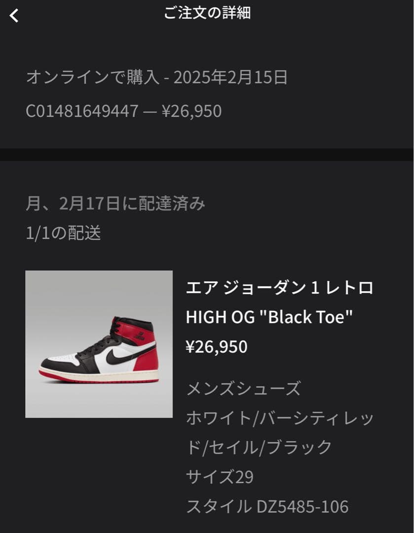 エアジョーダン レトロ HIGH OG 