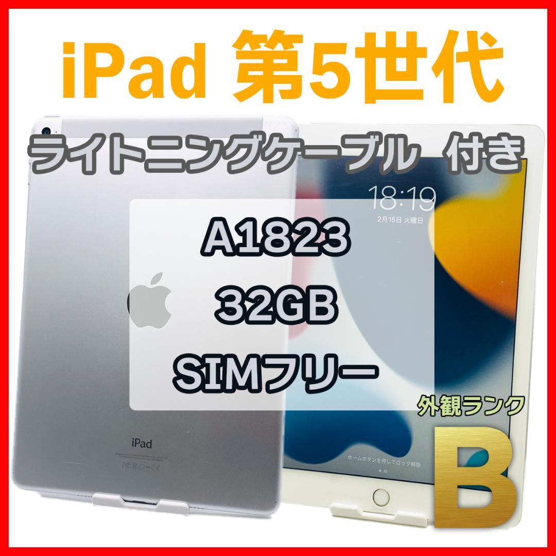 iPad 5 第5世代/32GB/SIMフリー/A1823/シルバー www.ndc.gov.af