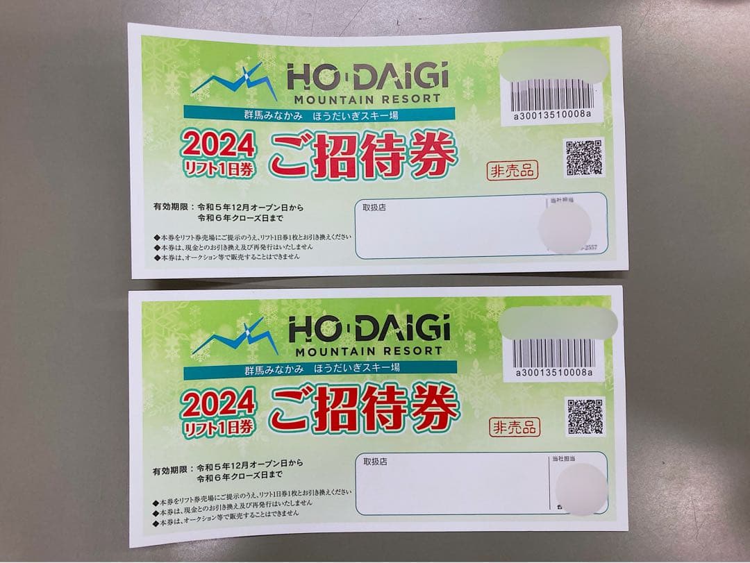 ほうだいぎスキー場リフト券２枚