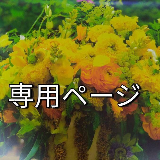 リサージエクストラクレンジングオイル＆エクストラクリーミィソープセット リサージ エクストラクレンジングオイル - LISSAGE リサージ -