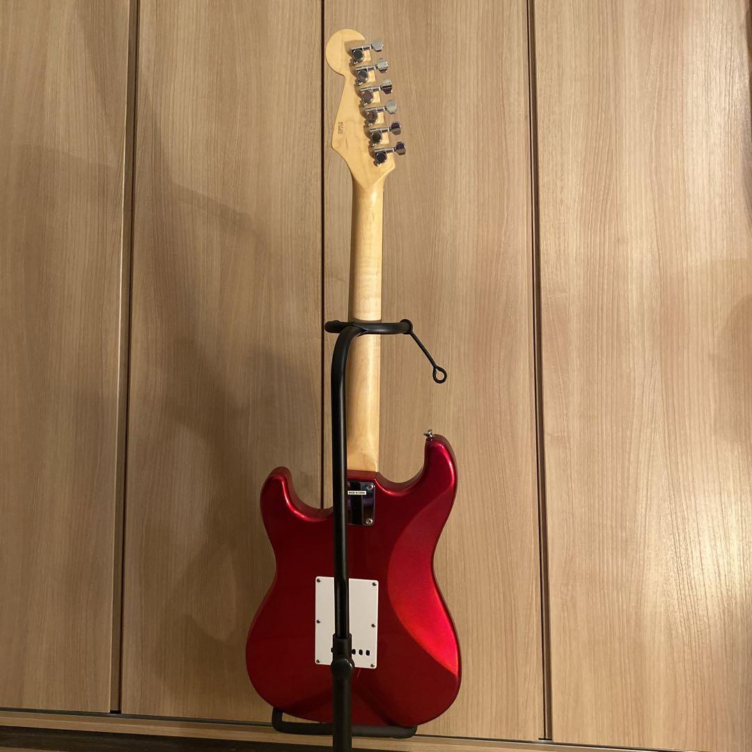 BUSKER‘S  BST2H