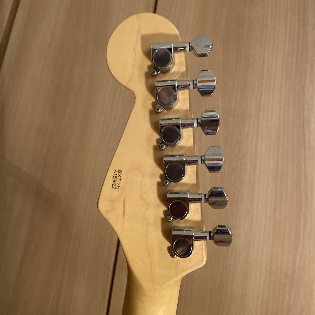 BUSKER‘S  BST2H