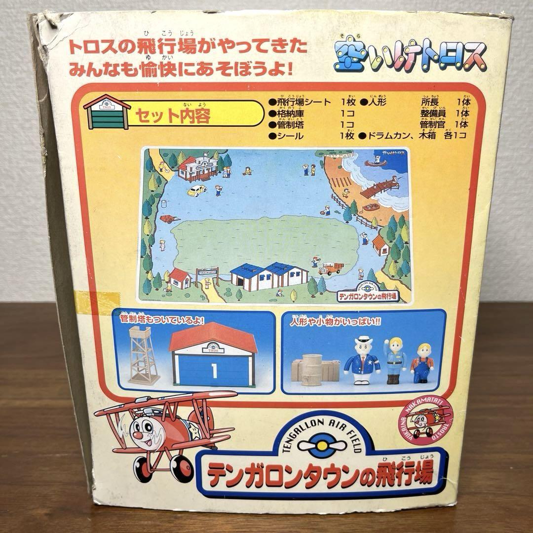 空いけトロス　テンガロンタウンの飛行場