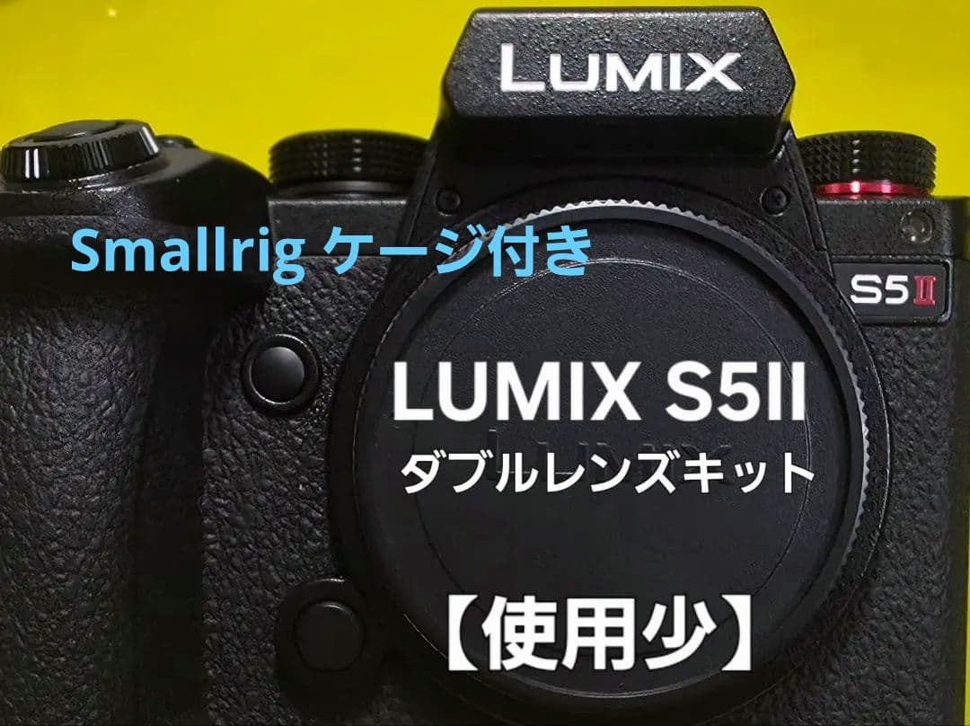 【使用少】 LUMIX S5II ダブルレンズキット 予備バッテリー付き