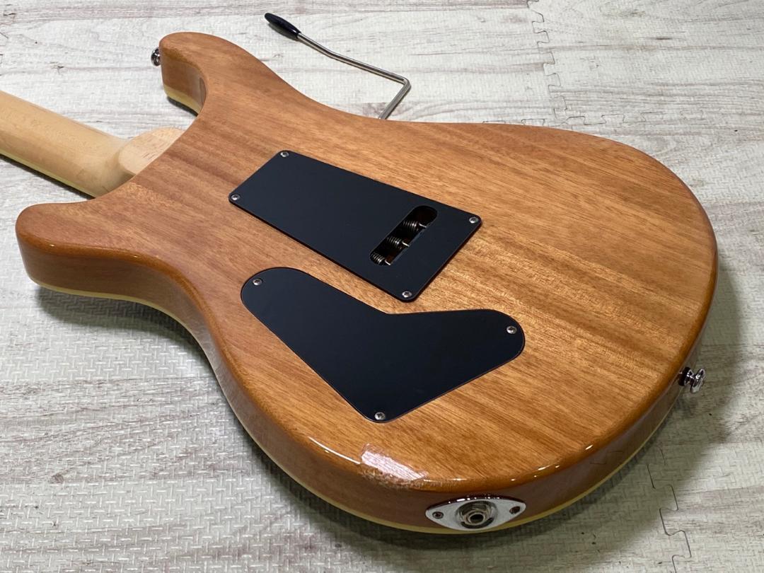 Paul Reed Smith SE Custom 24 美品だけど...