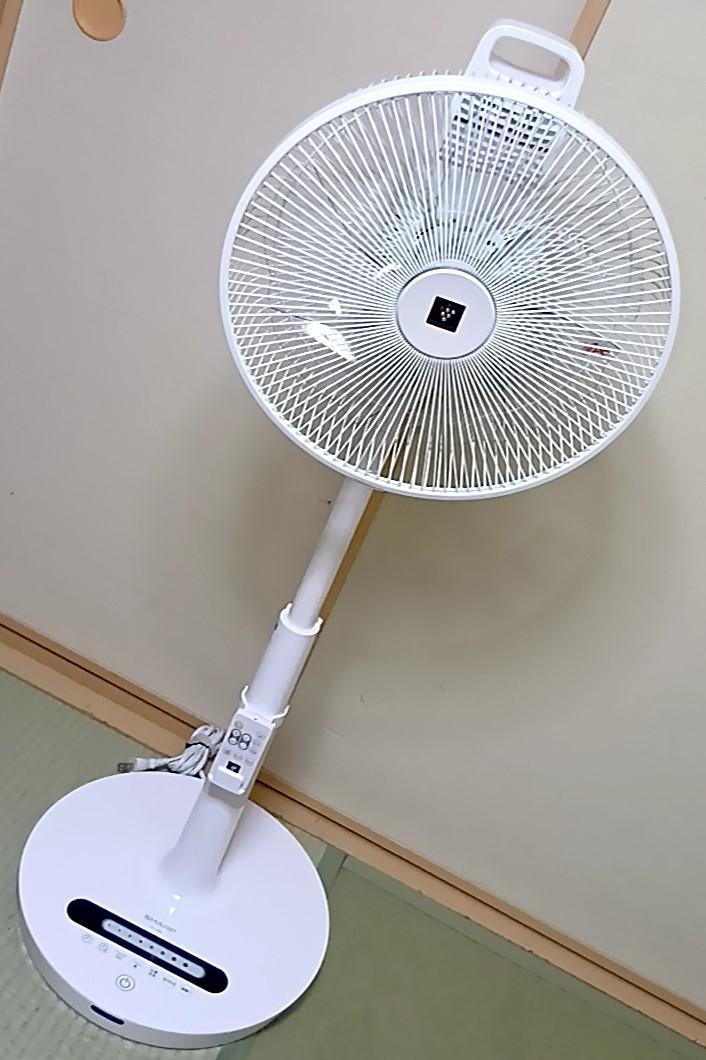 SHARP　扇風機 プラズマクラスターハイポジション空気清浄消臭 PJ-J3DS