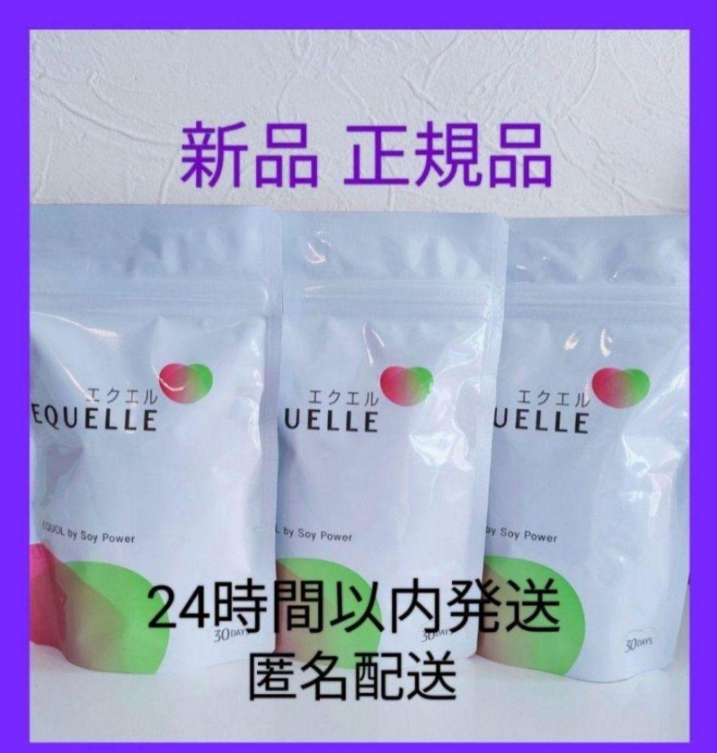 大塚製薬 エクエル パウチ 120粒30日分 ×3袋 - その他新着