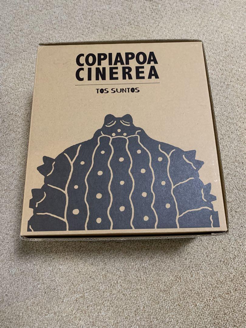 羅本製所 copiapoa cinereaフィギュア robin ソフビ
