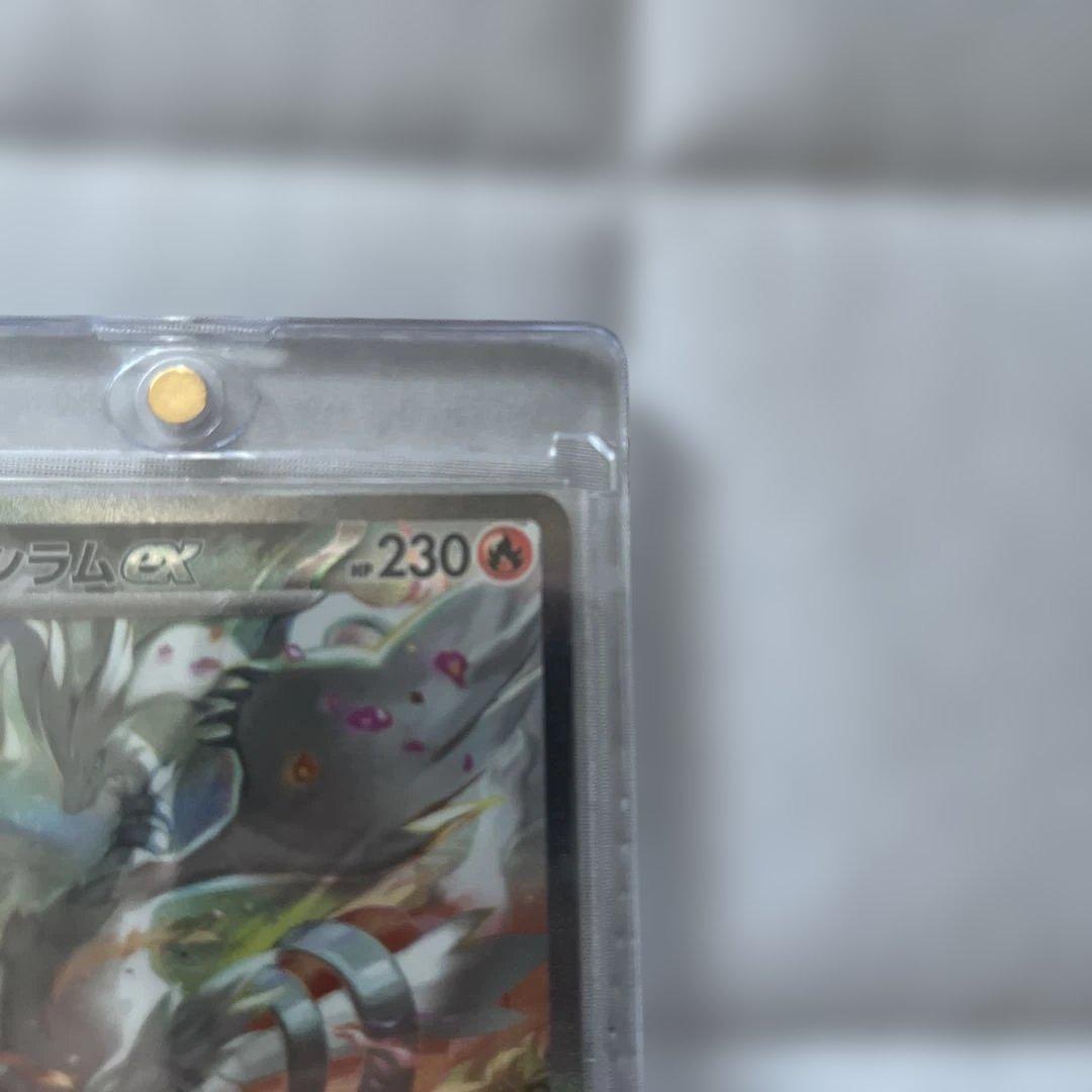 レジラムsar 美品 値下げ中 レジラムsar 美品 値下げ中