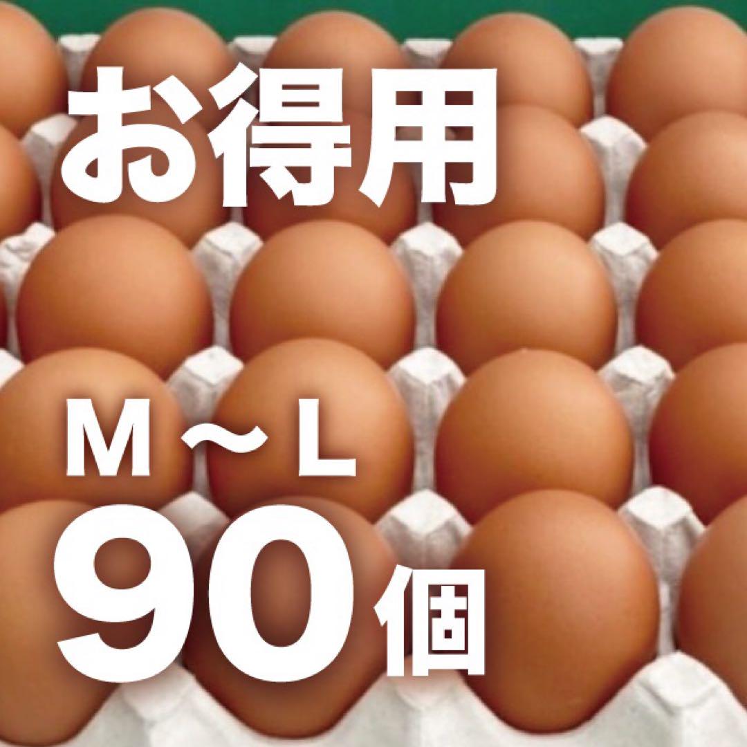 【お得用!】蔵王鶏園の「眠れる森のたまご」