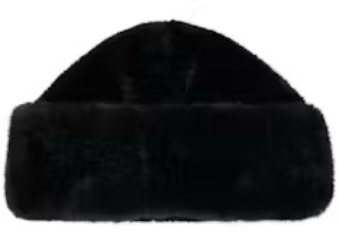 Palace パレス TEDDY BEANIE TIP テディー ビーニー