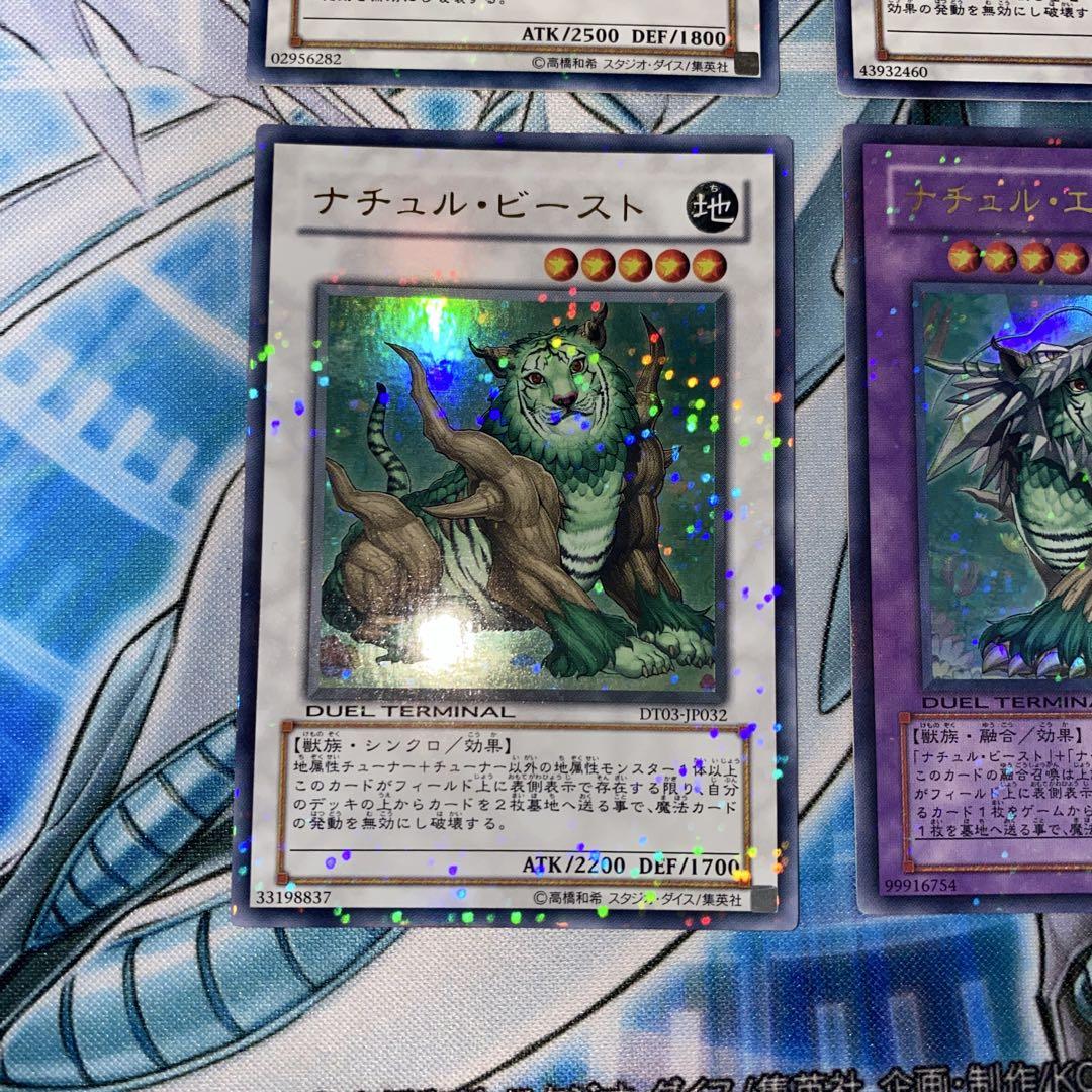 1612】ナチュルビースト パルキオン エクストリオ ラントオルス