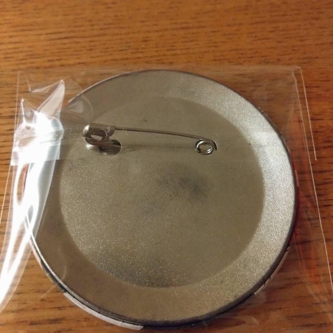 ウィンドブレーカー 缶バッジ セガ 梅宮