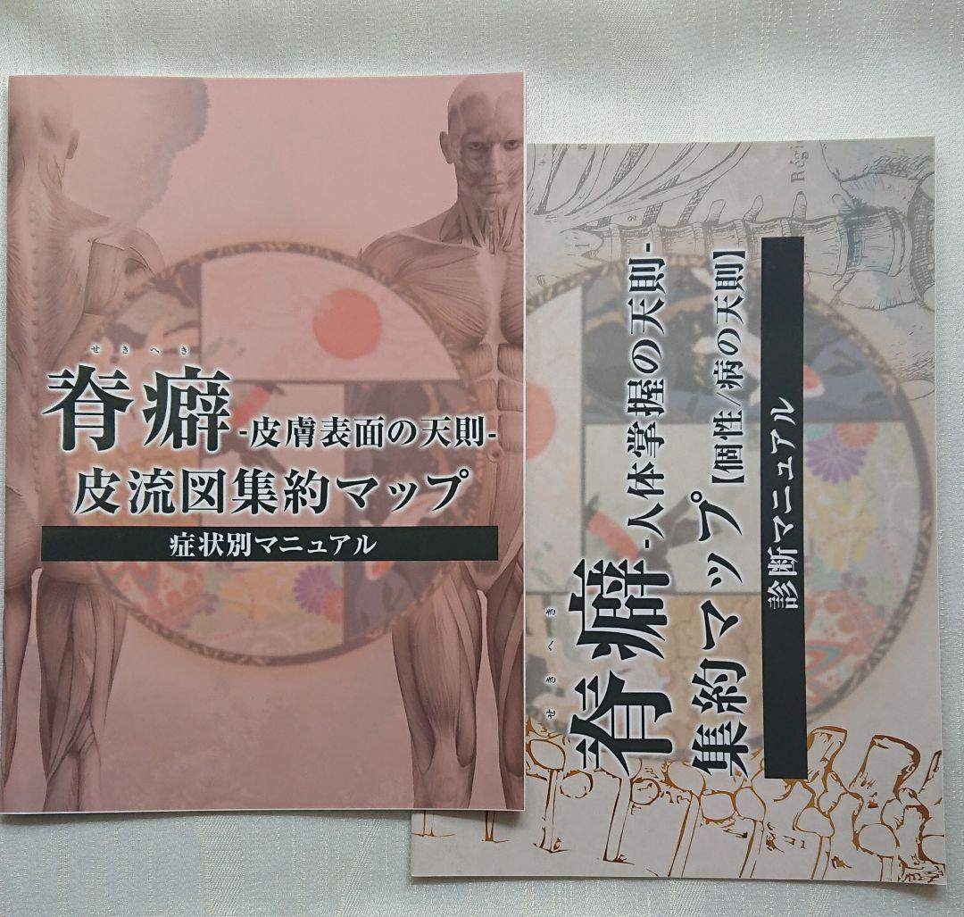 心道 三千年先の健康を創造する日本伝統医学】河野智聖 手技DVD