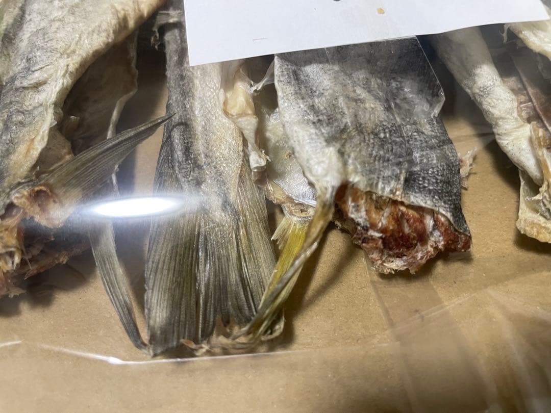 北海道産 2024年一等新物S100g×10 干貝柱 帆立 ホタテ 貝柱 乾燥