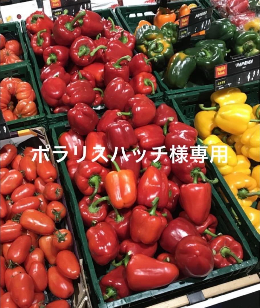ポラリスハッチ（004。002。006）