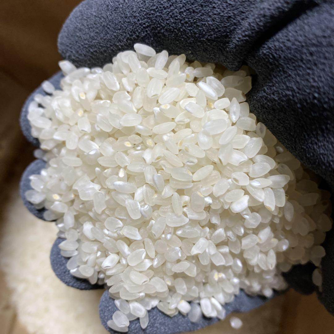 自慢のお米 20kg 白米