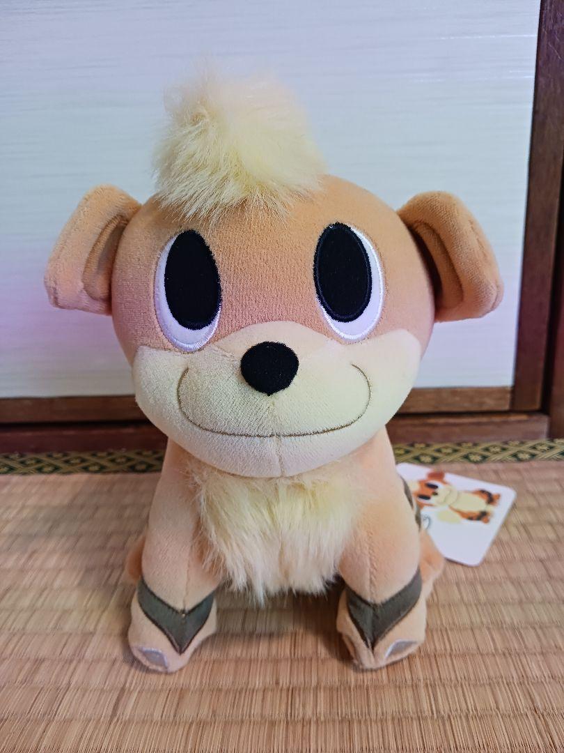 【おトク】 ポケモンタイム ガーディぬいぐるみ その他