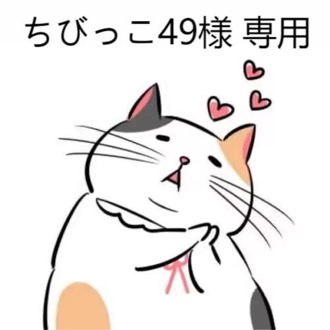 ちびっこ49様 専用