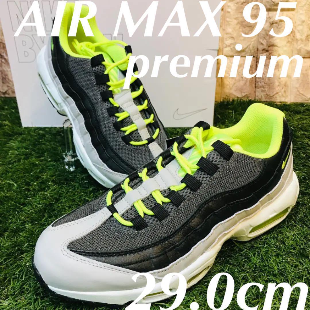 ナイキ エアマックス95 NIKE AIR MAX 95 RRM 1 29.0