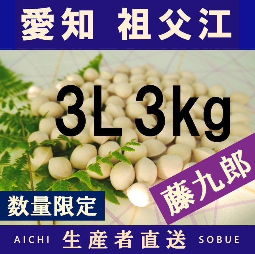 2025年新物 藤九郎 銀杏 祖父江産 3L 3kg