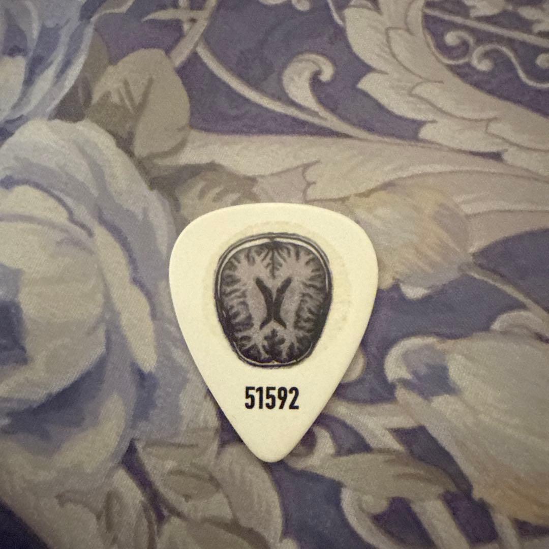 常田大希　ピック