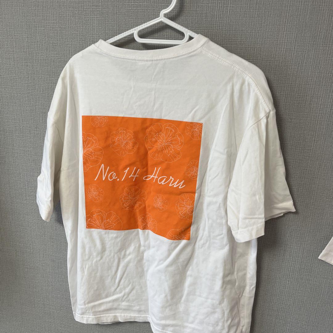 柏木悠 超特急 ハル RiB Tシャツ 半袖 Rail is Beautiful