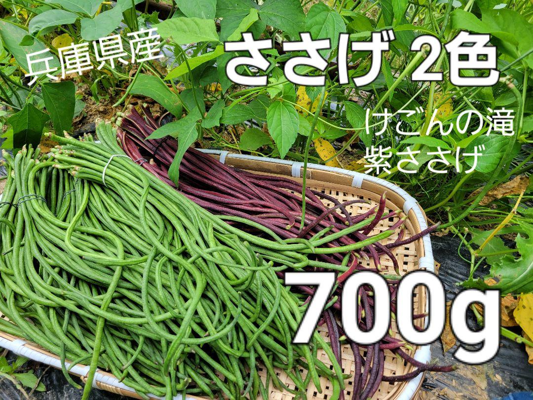 ささげ豆 2色 700g 本日採れ~ 緑&紫 ささげ 夏野菜 豇豆 大角豆ササゲ ささげ豆 2色 700g 本日採れ~ 緑&紫 ささげ 夏野菜 豇豆 大角豆ササゲ