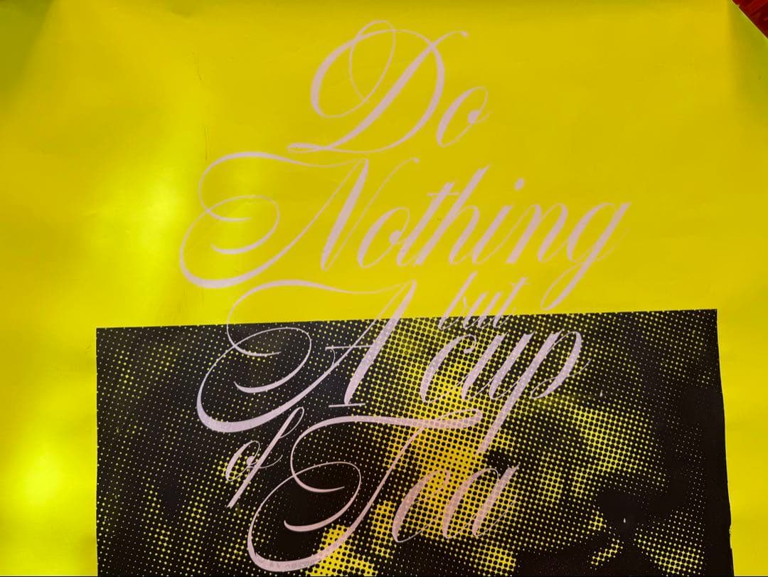 Do Nothing Congress ポスター 手刷り 藤原ヒロシ Do Nothing Congress ポスター 手刷り 藤原ヒロシ