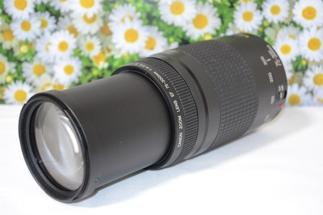 大迫力300㎜❤望遠レンズ❤人気❤スポーツ❤Canon EF75-300㎜