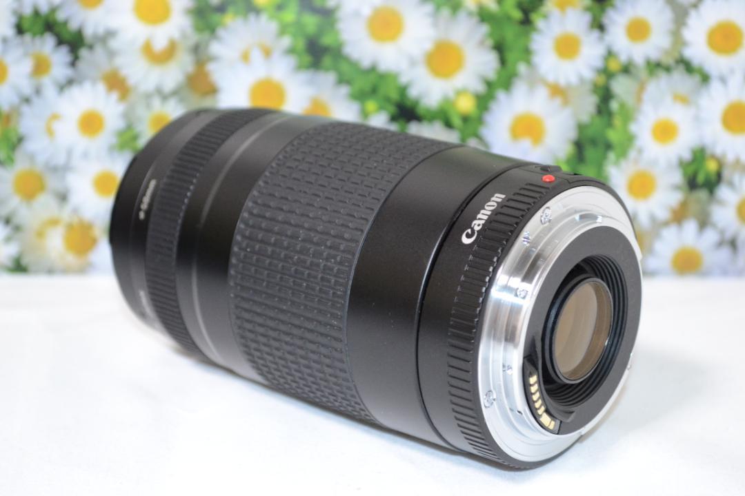 大迫力300㎜❤望遠レンズ❤人気❤スポーツ❤Canon EF75-300㎜