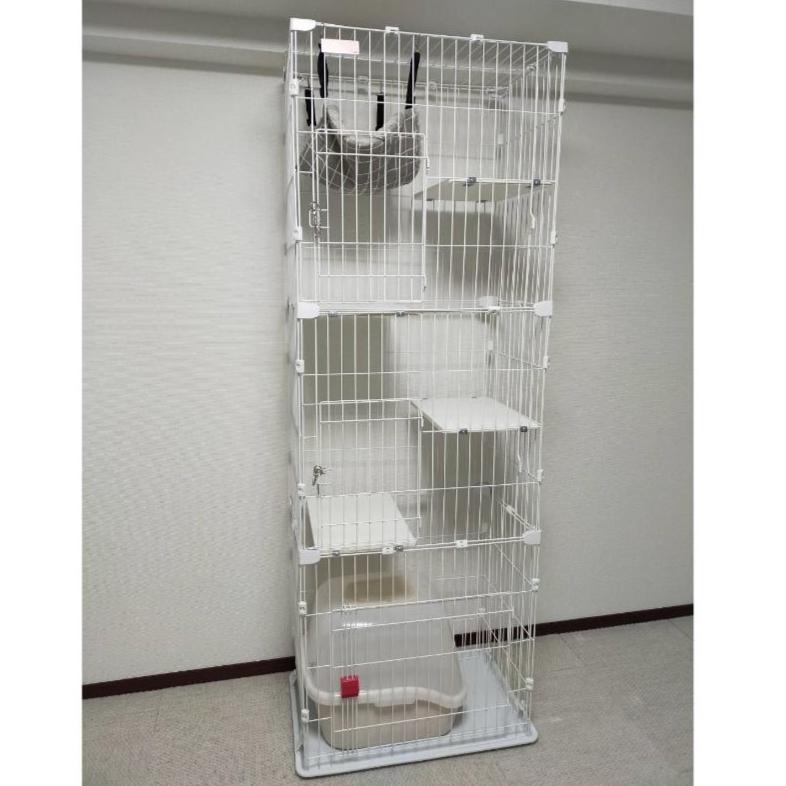 有限存在と永遠存在 / シュタイン，エーディト【著