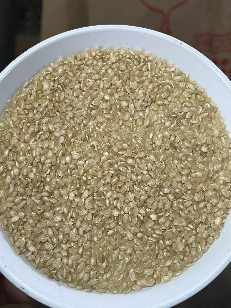 亀の尾　10kg 玄米　令和6年産　農薬不使用　肥料不使用　自然栽培米