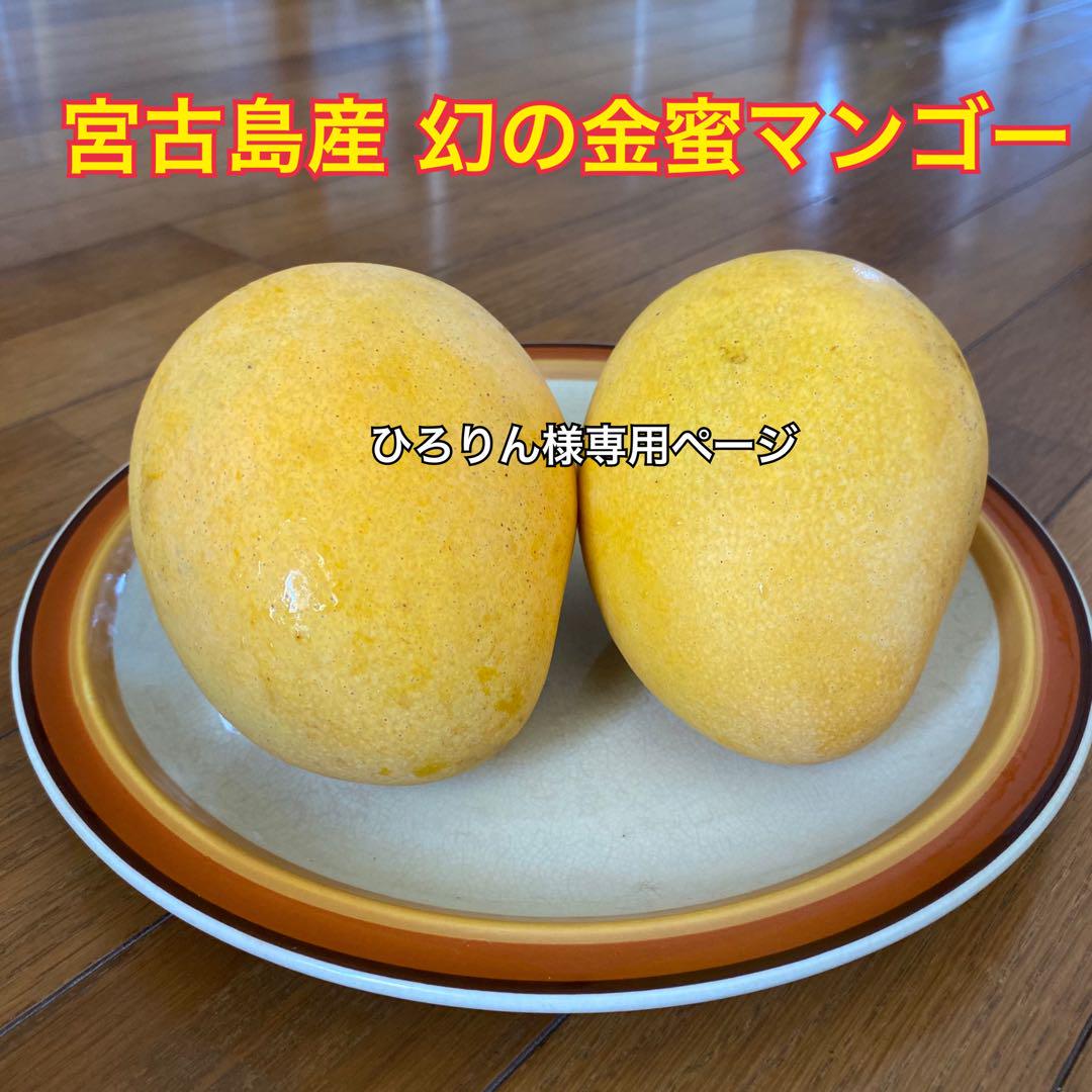 ひろりん様専用　金蜜1.5㎏+マンゴー3㎏