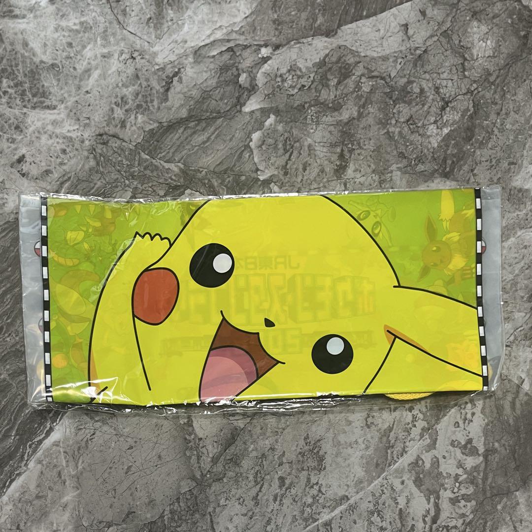 ⭐︎使用可能⭐︎ ピカチュウ Suica